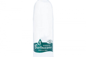 AGUA CON GAS 1.5L BARBUZANO